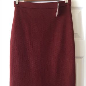 NWT Ann Taylor Pencil Skirt